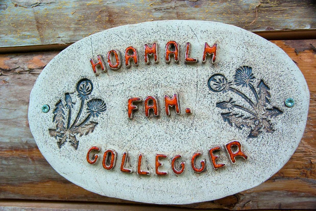 Ferienwohnung Hoamalm Großarl Exterior foto